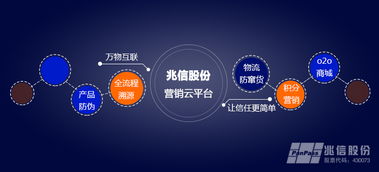 二維碼營銷為何成為企業(yè)必選項(xiàng)？兆信股份營銷案例解析